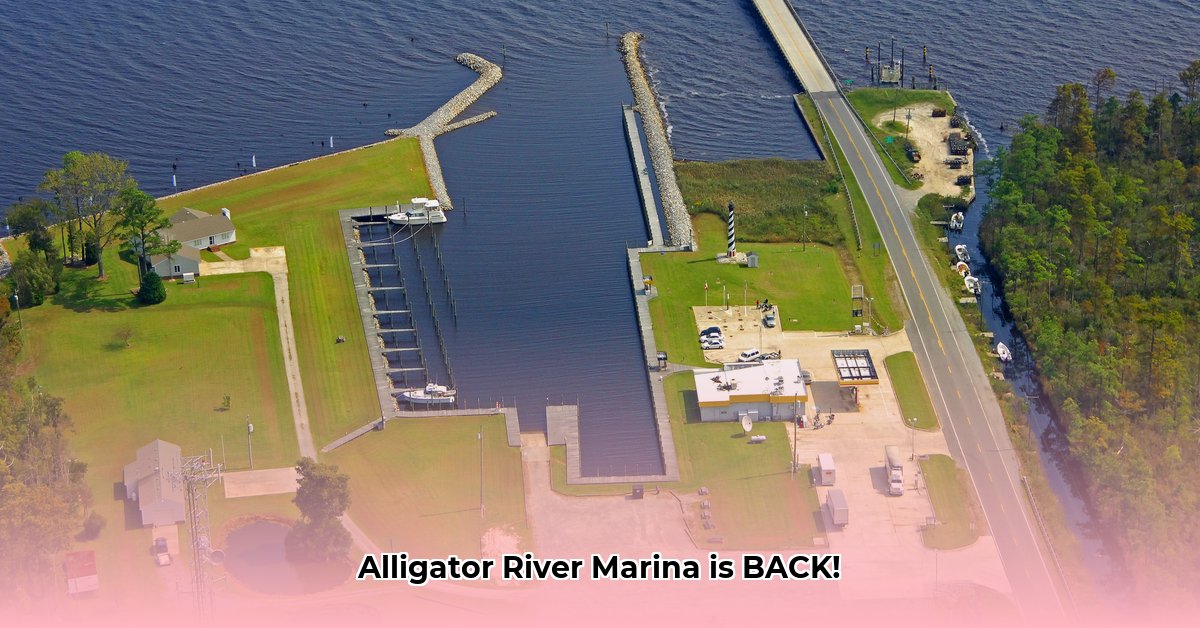 alligator-river-marina